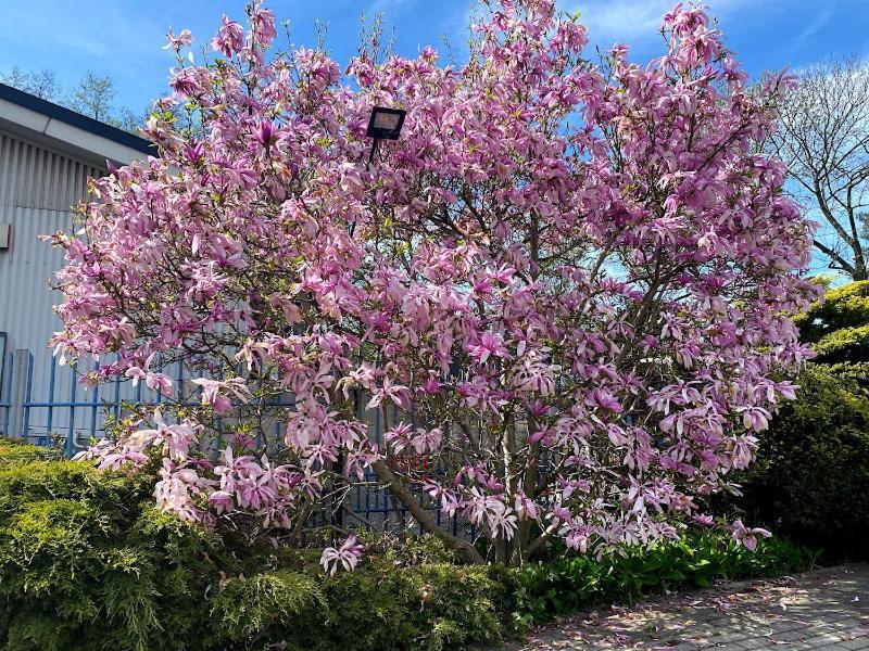 Obiekt "Czarny Rycerz" Aparthotel Jastrzebie Zdroj Luaran gambar